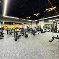 MyPT Gym I Ladies & Mixed Gym in Dubai Silicon Oasis