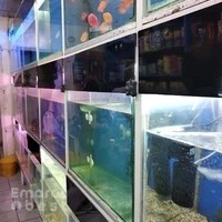 Fragrance Flowers & Aquarium Trading