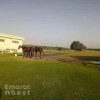 AL SHINDAGHA ENDURANCE