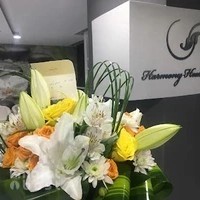 Harmony Healing Center