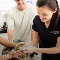 Noble Veterinary Clinic DIP