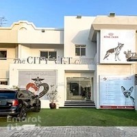 The City Vet Clinic - Al Wasl Branch