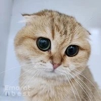 Karas Veterinary Clinic