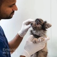 Star Veterinary Clinic, Sustainable City ⭐