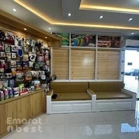 Pawsitive Veterinary Clinic - Motor City