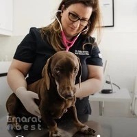 Noble Veterinary Clinic JLT