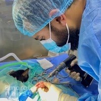 Royal Pets Veterinary Clinic