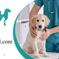 Pet Land Veterinary Clinic - Mirdif أفضل عيادة حيوانات أليفة بالقرب مني في مردف