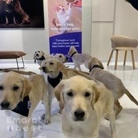 Vets in the City Veterinary Clinic