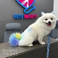 Pets Society Veterinary Clinic