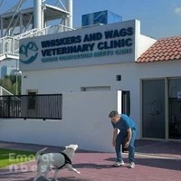 Whiskers and Wags Veterinary Clinic