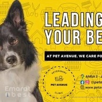 PET AVENUE CLINIC