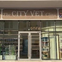 The City Vet Clinic - Meydan Branch