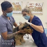 The City Vet Clinic - JVT Branch