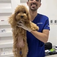 Pawbulance veterinary clinic