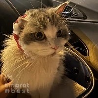 Happy Paws Veterinary Clinic LLC