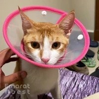 Provet Veterinary Clinic