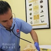 Pet Station Veterinary Clinic