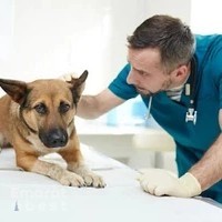 Canadian Veterinary Clinic