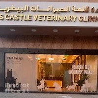 Pets Castle Vet