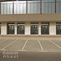 Saqr albrary - صقر البراري