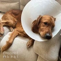 PETPALS VETERINARY CLINIC