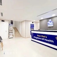 Kings Vet Clinic Al Wasl Jumeirah