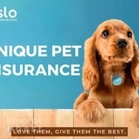 Oslo Pet Insurance in the UAE