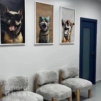 ECVC - EuroPets Care Veterinary Clinic