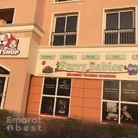 Pet Shop Furry Babies Dogs & Puppies For Sale In Dubai