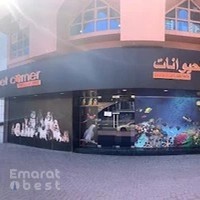 Pet Corner Dubai- Sheikh Zayed Road