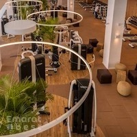 THE BRIDGE | Wellness Hub