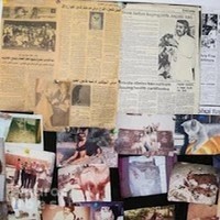 New Veterinary Clinic Abu Dhabi