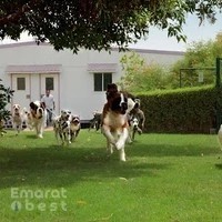 Cloud9 Pet Hotel & Care - Veterinary Clinic & Pet Hotel