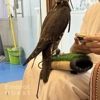 Top care veterinary clinic عيادة توب كير البيطرية