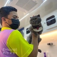 صالون بيتس بونز للحيوانات الأليفة Petsponz Mobile Pet Grooming