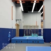 Aerial Gymnastics Academy