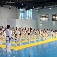 BSports - Taekwondo and Gymnastics Club