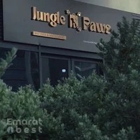 Jungle Paws X Pet Corner