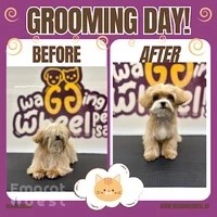 Wagging Wheel Pet Salon