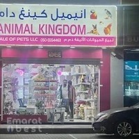 Pet Shop - Animal Kingdom