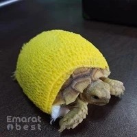 Al Jubail Veterinary Clinic