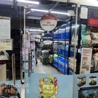 Animal Planet Ornamental Birds