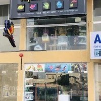 Aquatic life Pets حيوانات اليفة