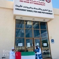 AL mina birds and animals market