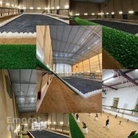 مقيض الأبرق