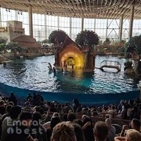 The Yas SeaWorld Research & Rescue Center