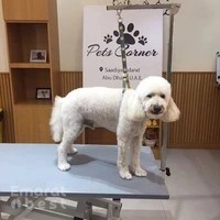 Pets Corner Saadiyat Island