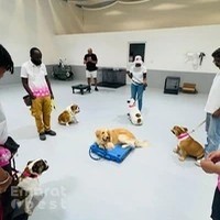 Olivier Zoppi Dog Psychology Center – Abu Dhabi