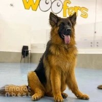 Woofers Pet Hotel and Care LLC